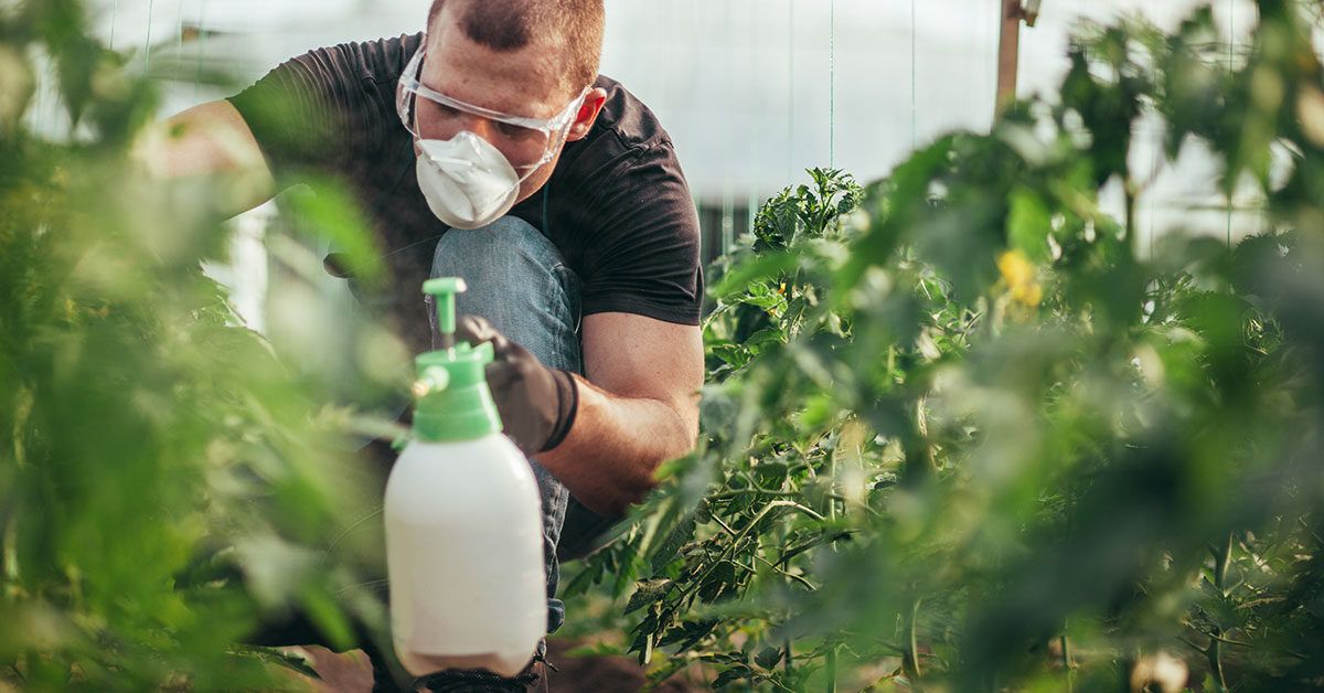 Опасности Раундапа: Связь с Неходжкинской Лимфомой и Ответственность Производителей