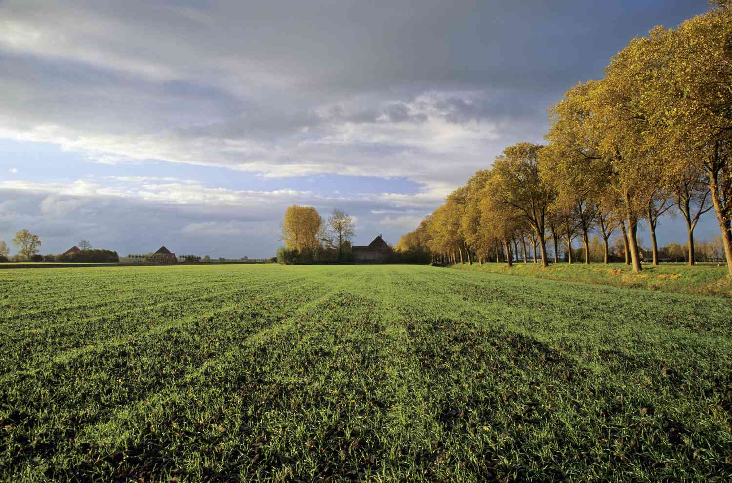 Земля: Главные аспекты использования и оценки в бизнесе