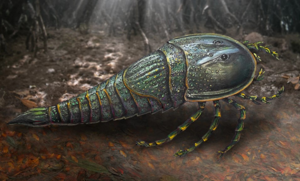 Уникальная находка: гигантский морской скорпион раскрывает тайны древних морей