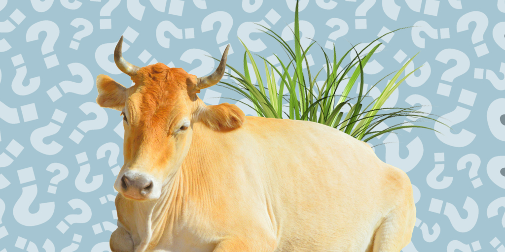 Teka-Teki Menarik dari Berbagai Budaya Dunia yang Bikin Kamu Penasaran