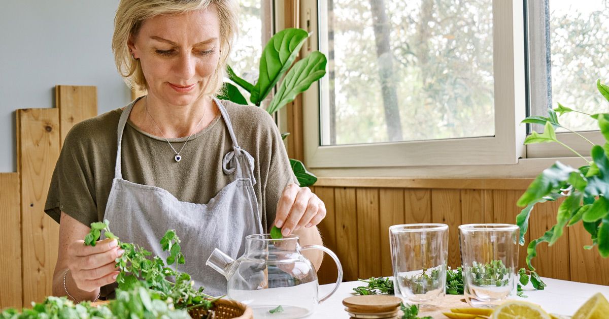 Lemon Balm Benefits and Uses in 2025: Prices and Health Insights