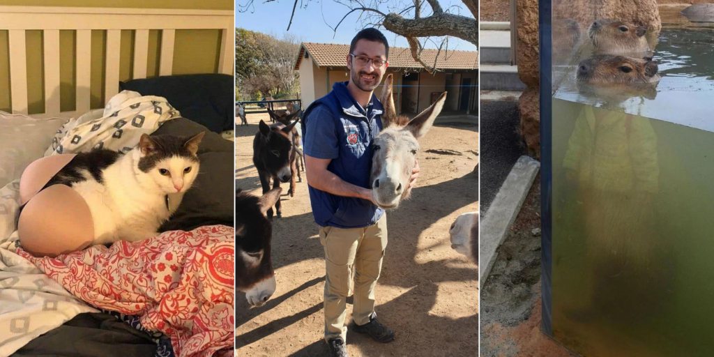 Игра зрения: 14 удивительных снимков, которые заставят вас сомневаться