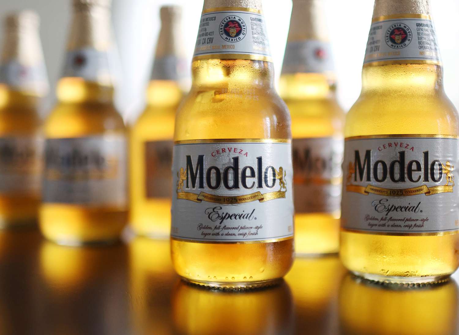 Constellation Brands 2025 Stock Plunges Amid Weak Wine and Spirits Sales, Beer Sales Show Mixed Results