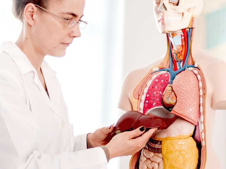 Understanding Portal Vein Thrombosis (PVT): Key Symptoms, Causes, and Modern Treatments