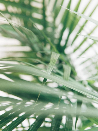 Collagen Therapy: The Secret to Timeless Youth?