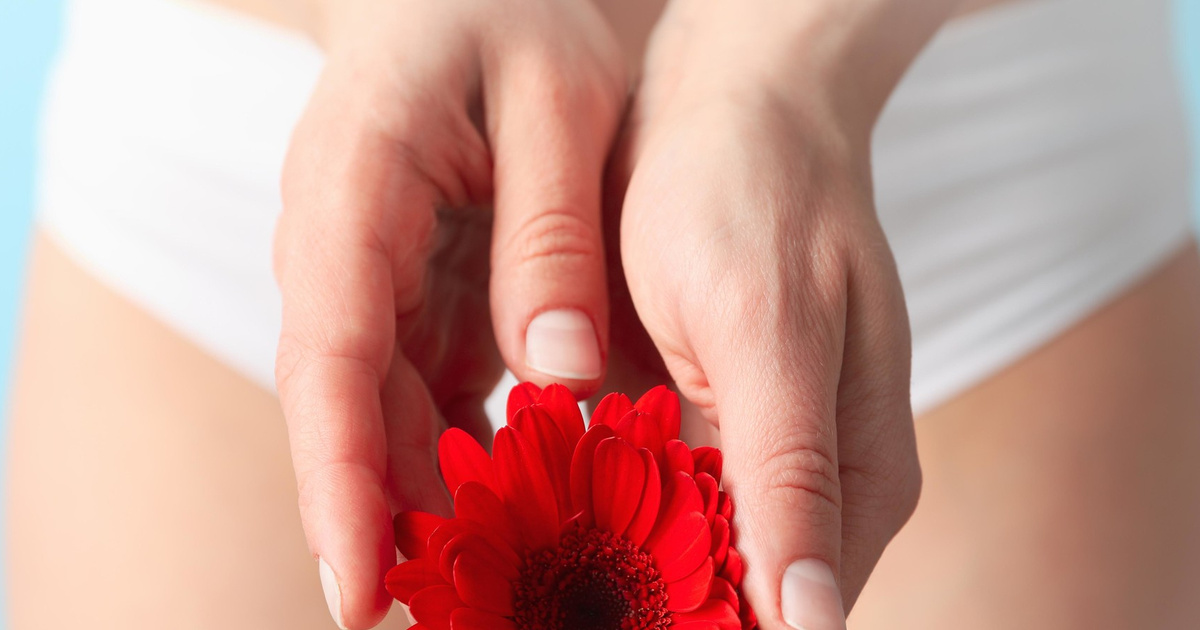 Менструальное белье: новый уровень комфорта и заботы о природе