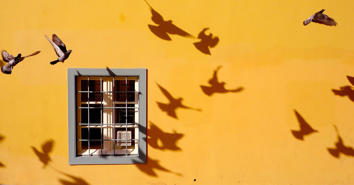 Эффективные упражнения для облегчения боли и улучшения подвижности пальцев