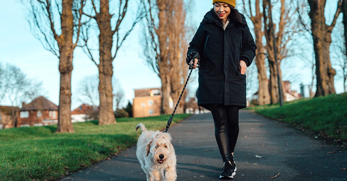 How Many Calories Do You Burn Daily? A Complete Guide