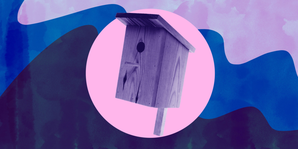 Panduan Kreatif Membuat Rumah Burung Sendiri di Rumah