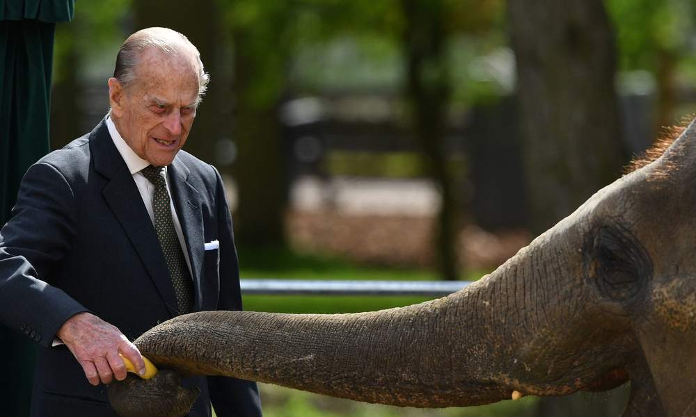 Prins Filipning Jasoratli va To‘g‘risonso‘z Qarashlari: Uning Hazil va So‘zlari Orqasidagi Mehr-muhabbat