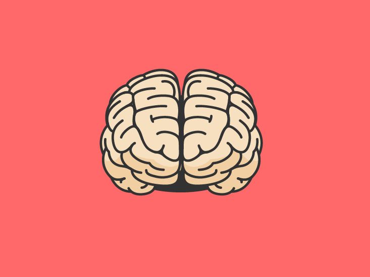 Уникальные функции теменной доли мозга: ключ к восприятию и пространственному мышлению