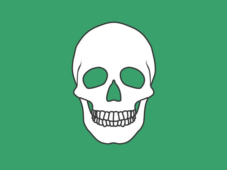 Уникальные особенности и функции грудного отдела позвоночника