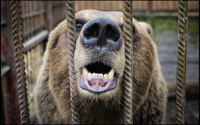 Эффективные стратегии с обратными секторными ETF для медвежьего рынка