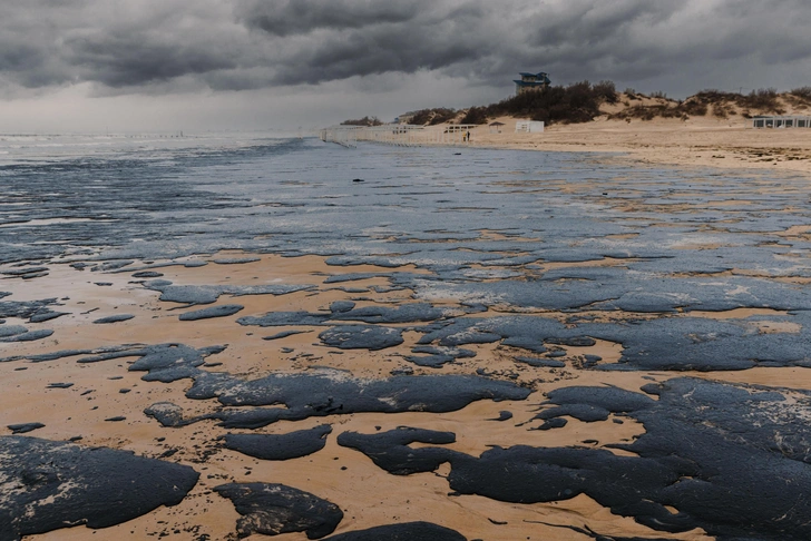 Environmental crisis in Anapa threatens tourist season