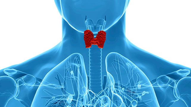Comprehensive Thyroid Function Tests in 2025: Costs, Procedures, and What Your Results Mean