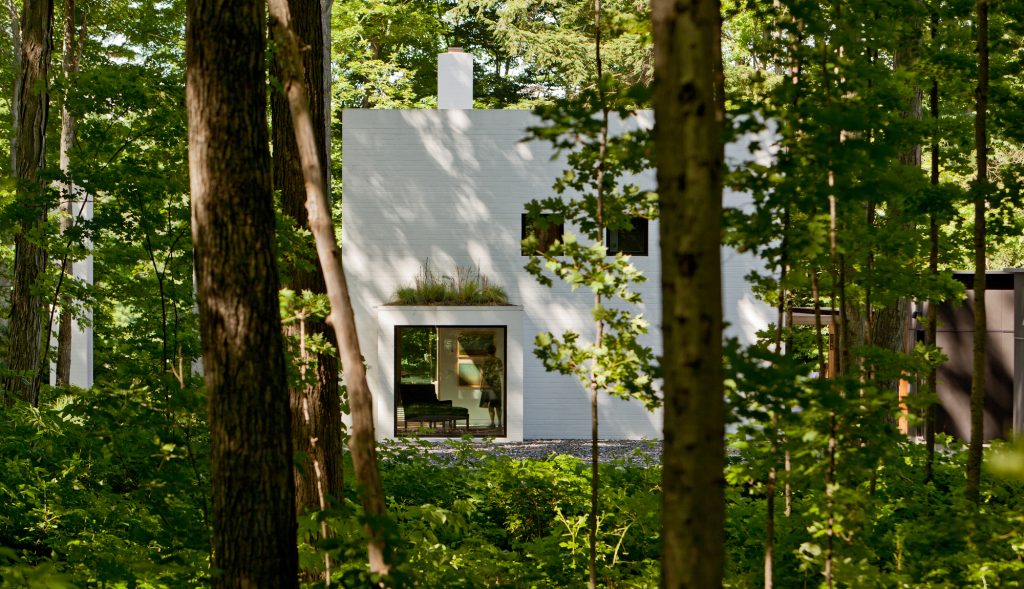 Погружение в природу: вдохновение для тела и души