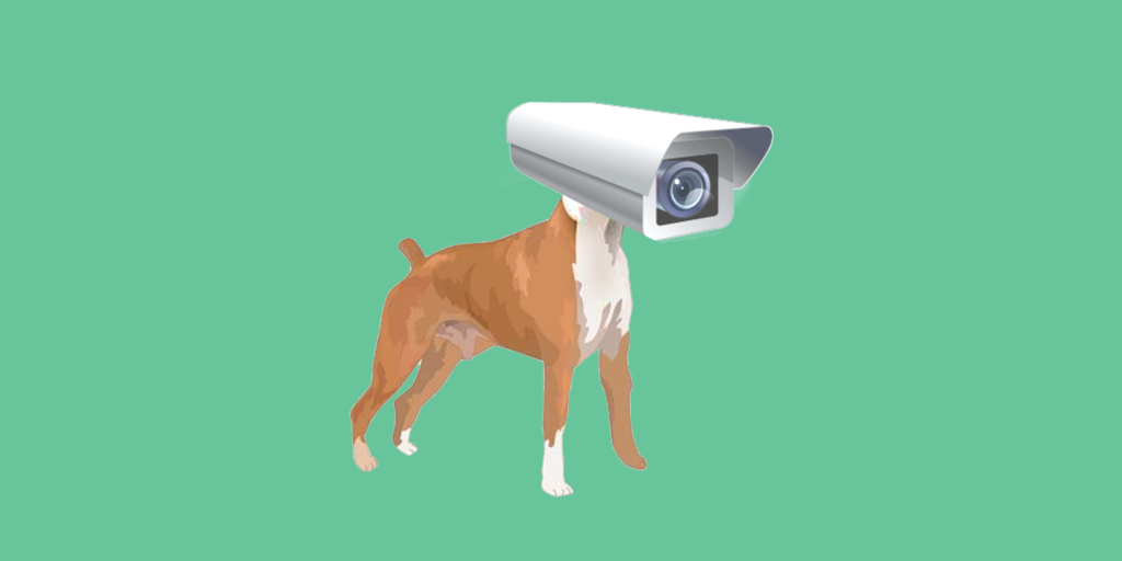 Почему мы так легко верим в теории заговора: психология и механизмы влияния