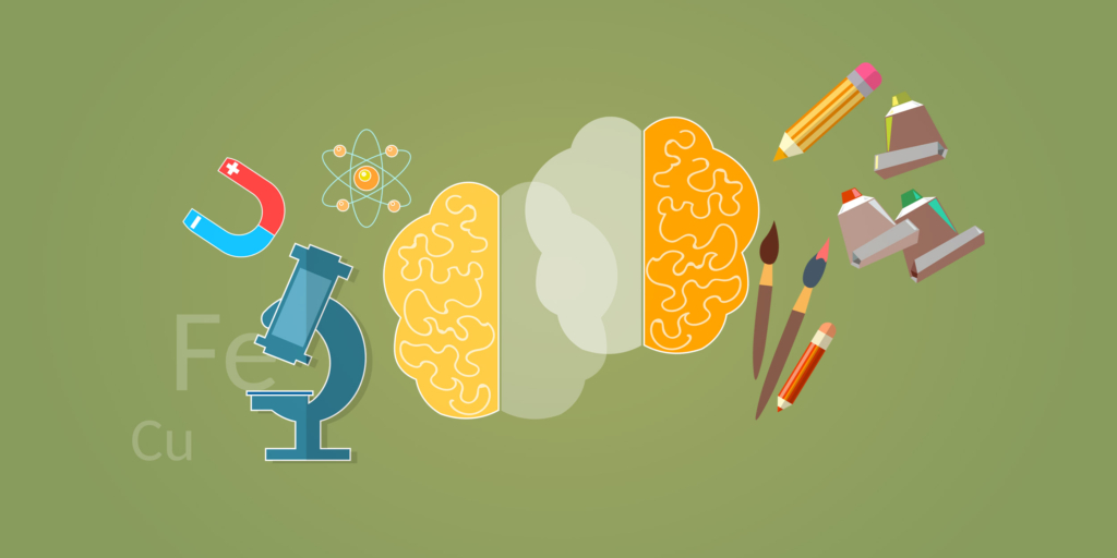 Right-Handed or Left-Handed: Unlocking the Secrets of Brain Asymmetry