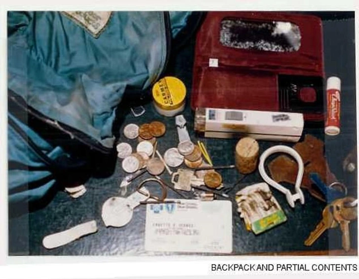 Jinoyatchini aniqlash uchun qidiruv