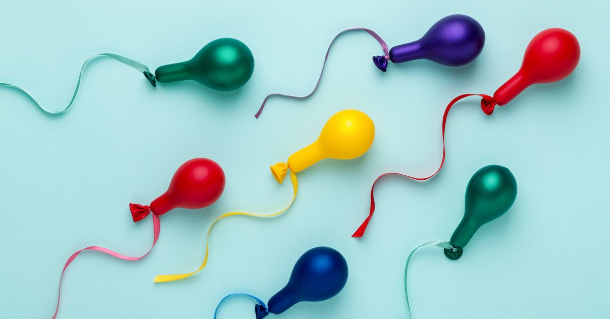 Удивительный путь сперматозоидов: как происходит их образование и развитие