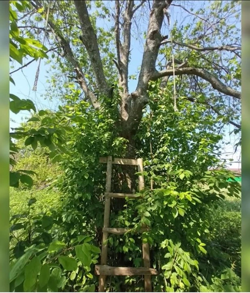 Самодельные качели Кристины