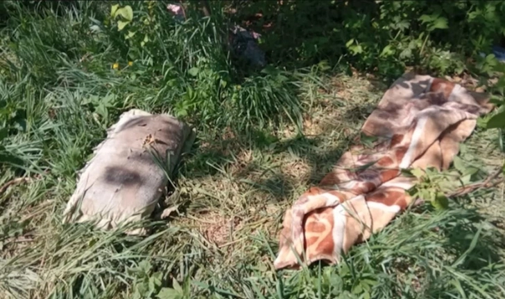 Заброшенный участок и качели