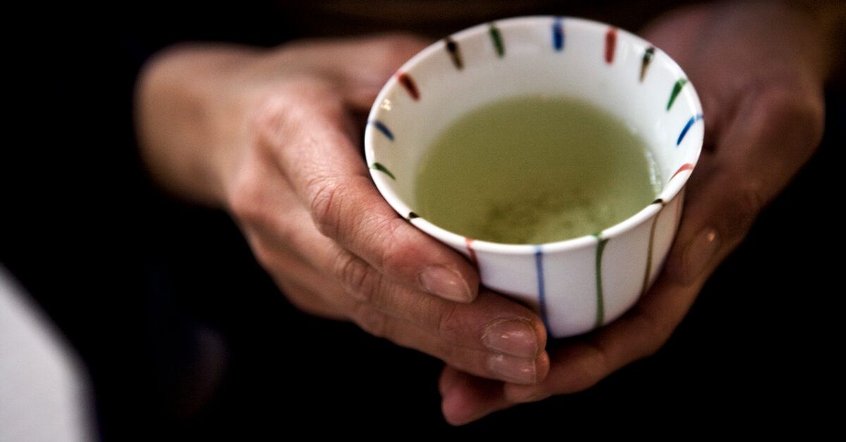Rahasia Teh Hijau dan Pengaruhnya pada Pencernaan Anda