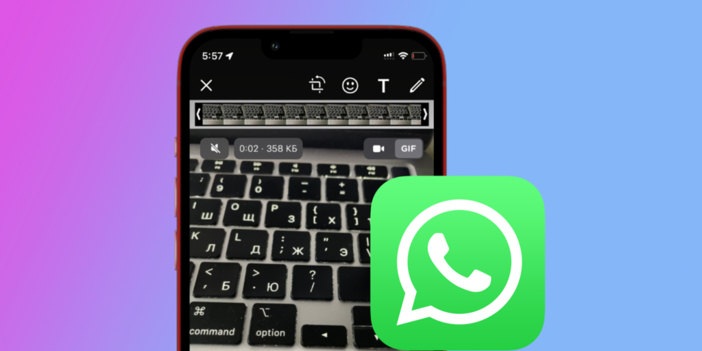 WhatsApp’da iPhone’dan jonli suratlarni GIF shaklida yuborish usullari