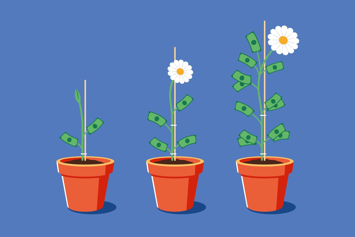 Qariyalar Uchun Moliyaviy Mustahkamlik: 70 yoshdan Keyin Portfelingizda O‘sishni Saqlash Muhimligi