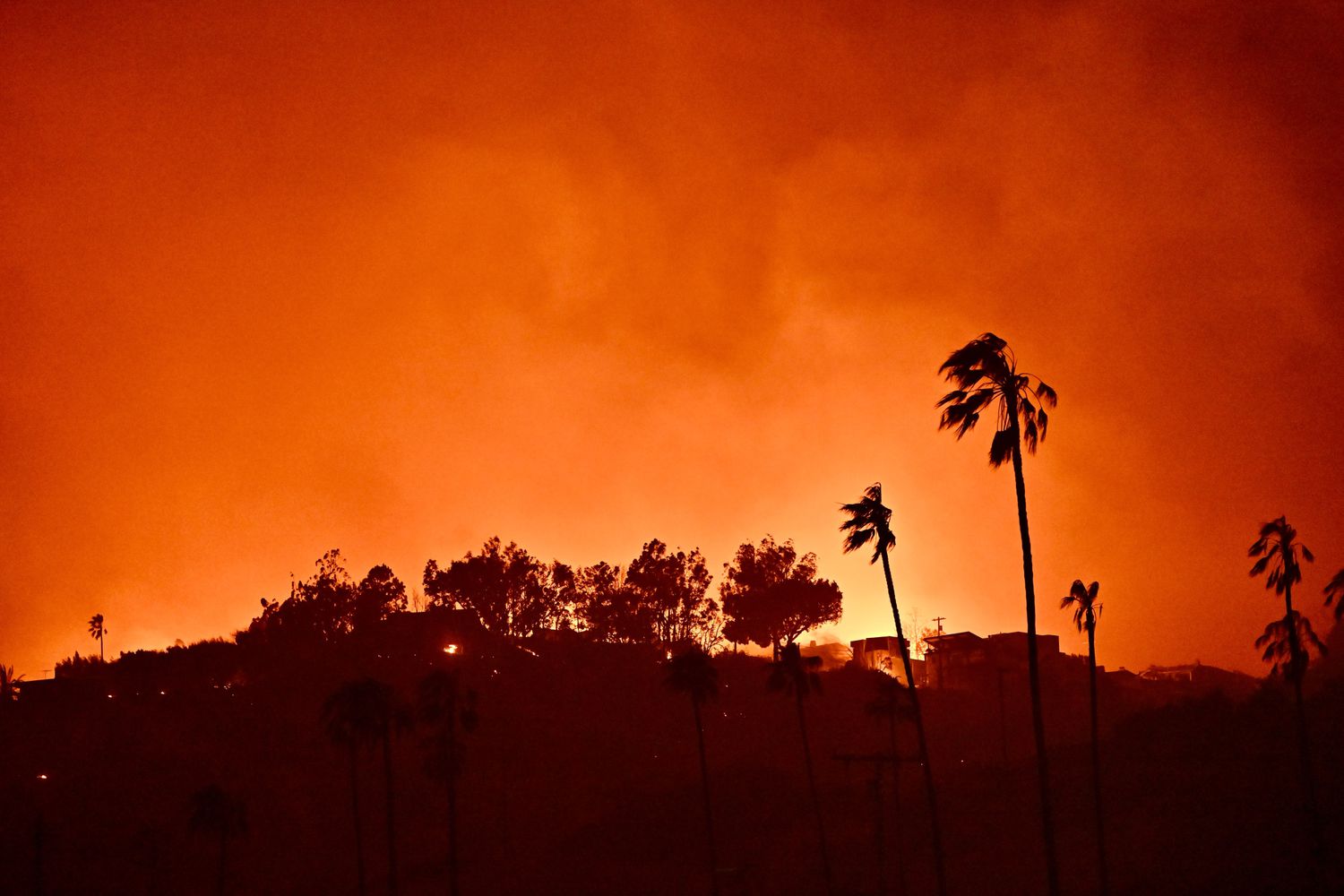 Edison International Faces Sharp Stock Decline Amid Widespread Power Outages from Los Angeles Wildfires