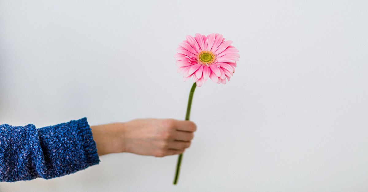 Homiladorlikka Qadam: Tushuncha va Muhim Bosqichlar