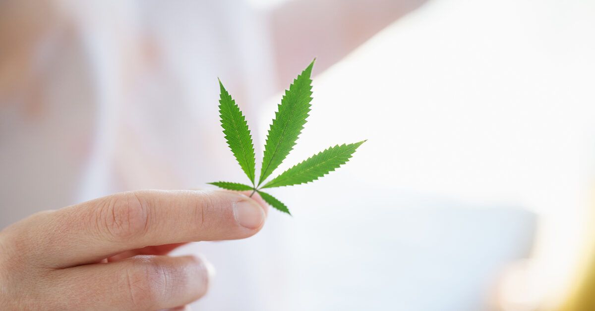 Unlocking the Surprising Link Between Cannabis and Constipation Relief