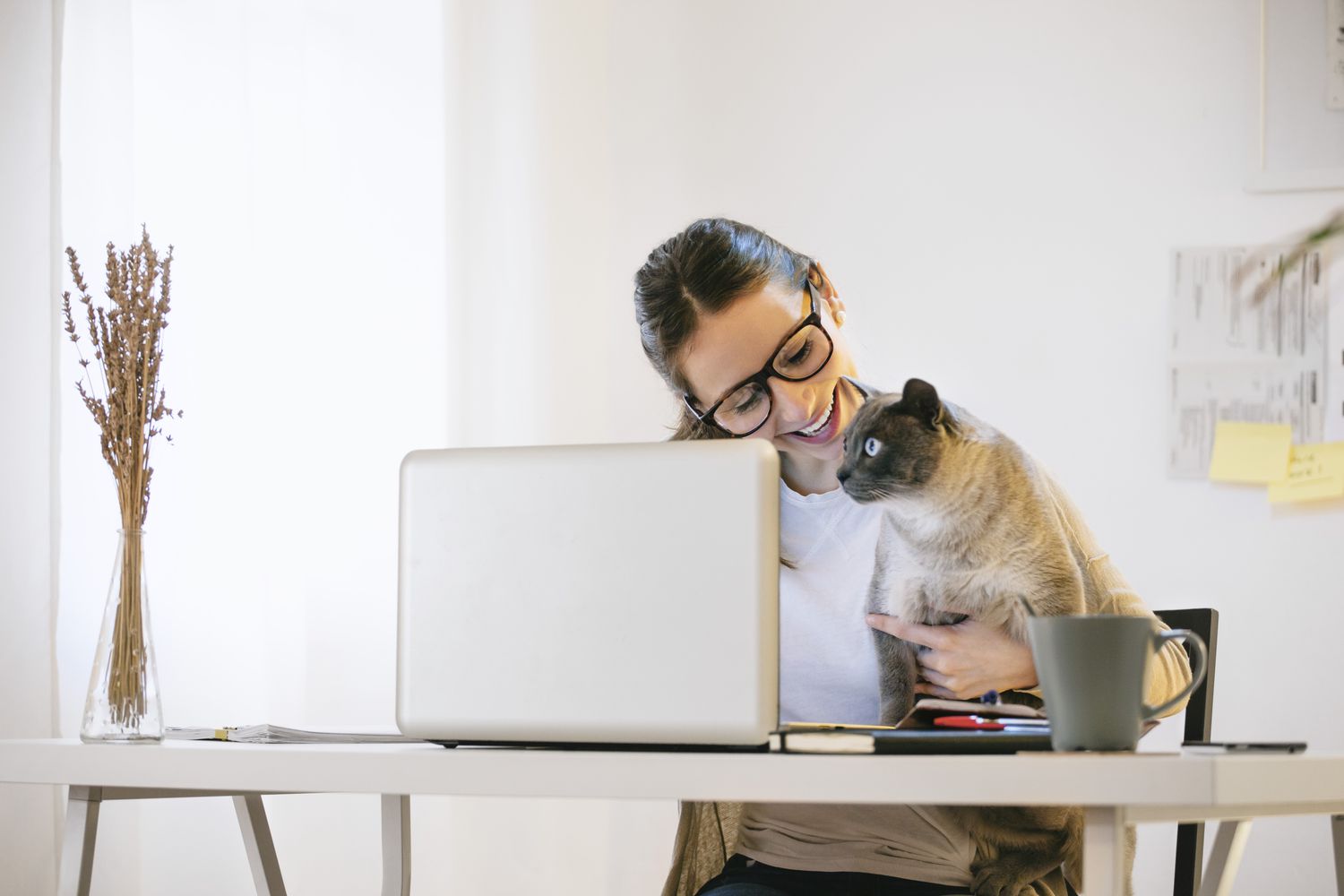 Как сэкономить на налогах, имея домашних животных: важные советы