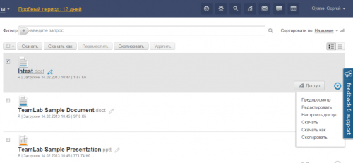 Teamlab Document Editor