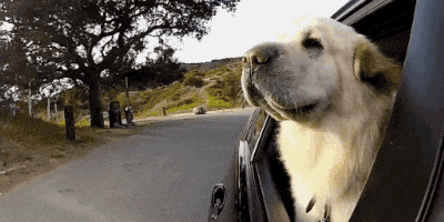 10 Effective Ways to Beat the Heat When Your Car Has No Air Conditioning