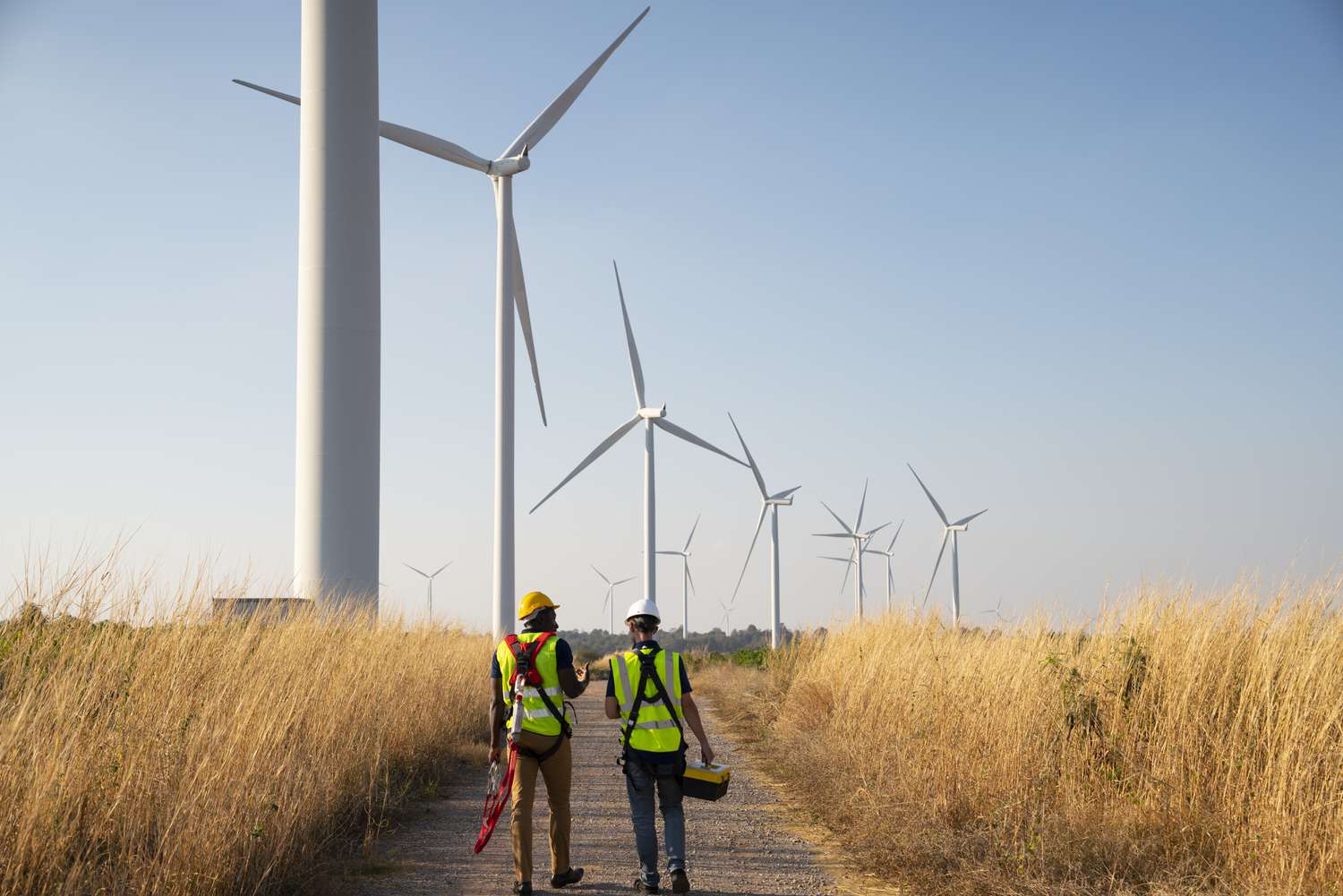 Unlocking Renewable Energy: How Feed-In Tariffs Boost Green Power Innovation