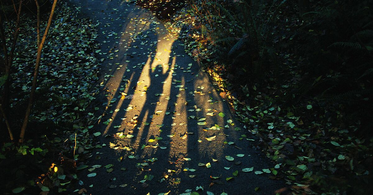 Uyda Zo‘ravonlik: Belgilar, Statistika va Qo‘llab-quvvatlash Yo‘llari