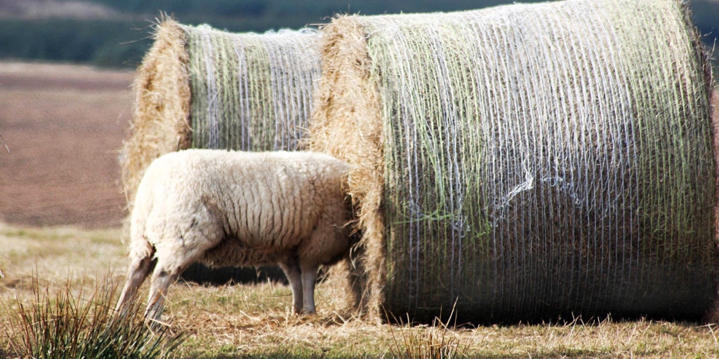 Разгадка жизненных неудач: семь уроков для успеха