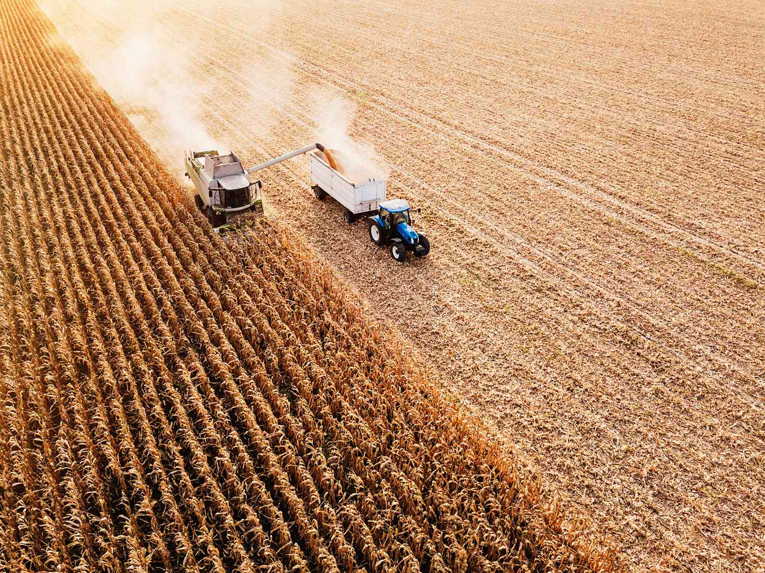 Важность и влияние сельскохозяйственных субсидий в современной экономике