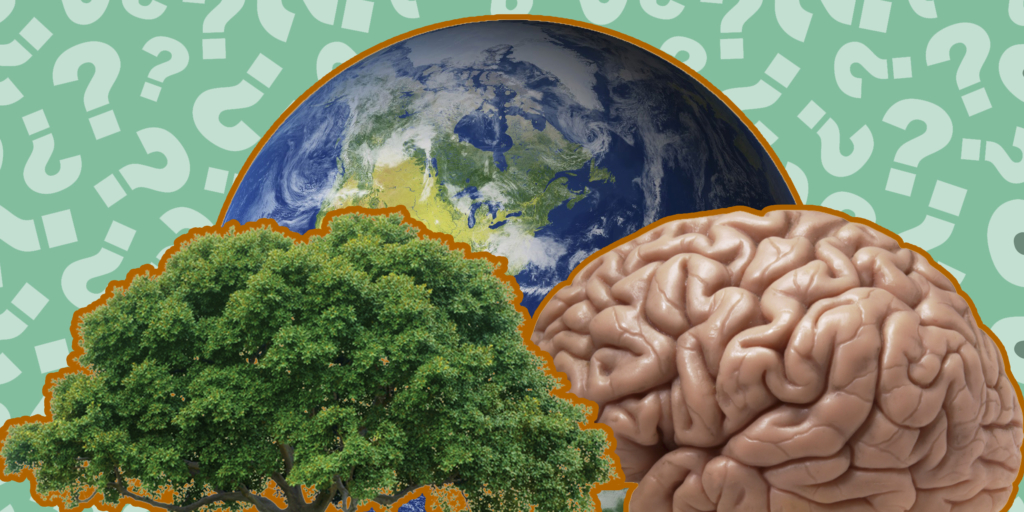 Уникальная загадка: найдите скрытую связь между тремя изображениями