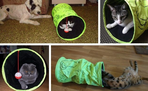 Тоннель для питомцев