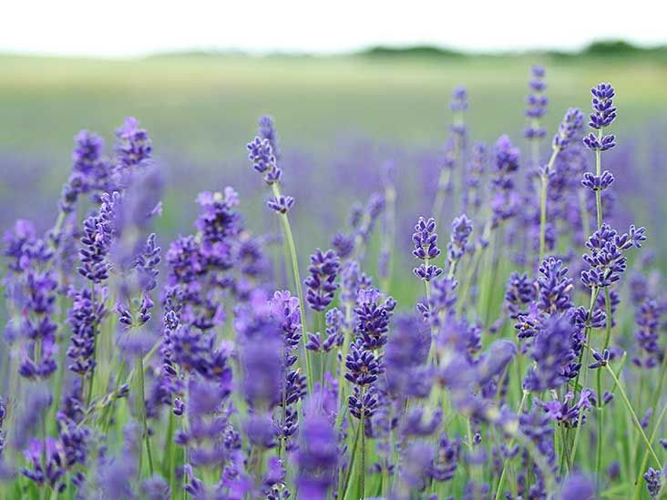 How to Stop a Panic Attack: 11 Effective Ways to Manage Them