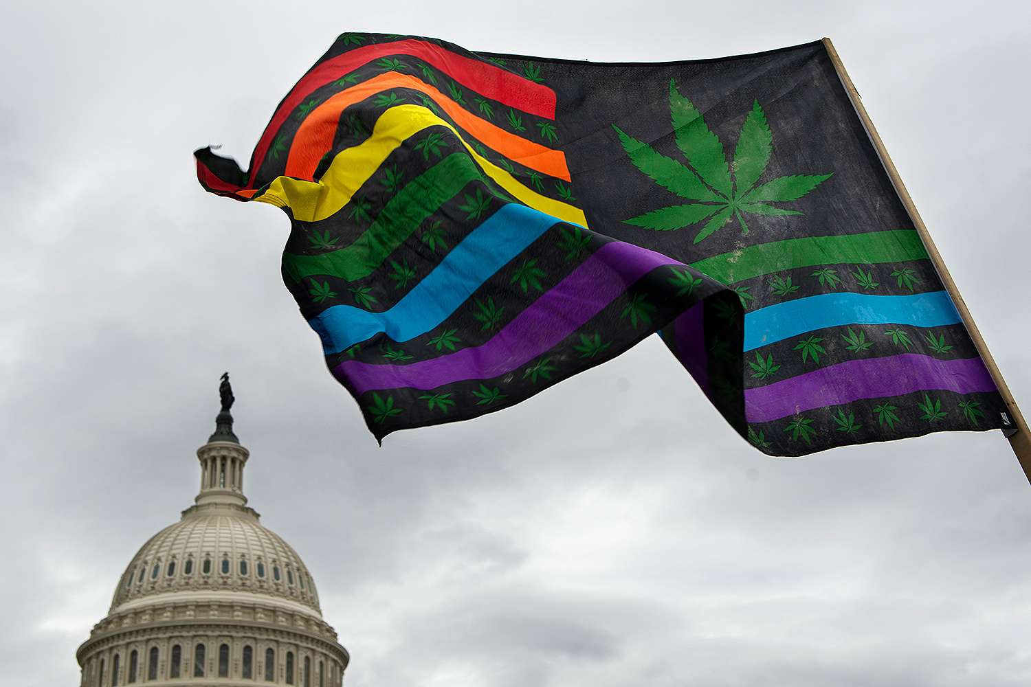 Marijuana Stocks Surge Following Presidential Pardons Announcement