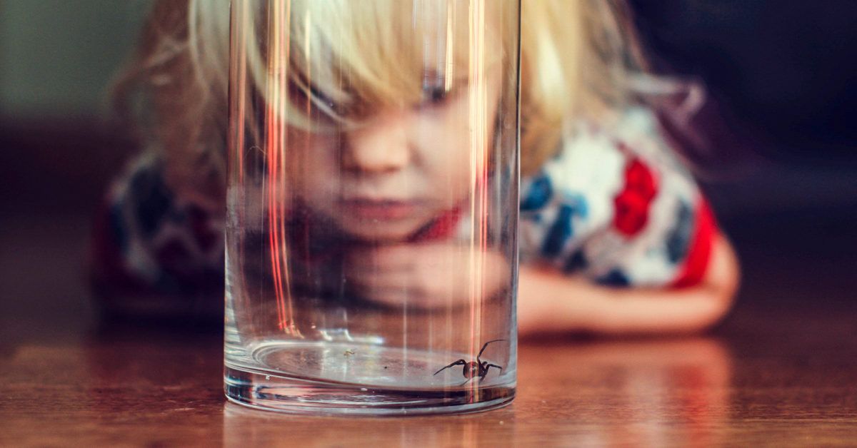 Опасности укуса паука черной вдовы: симптомы и первая помощь