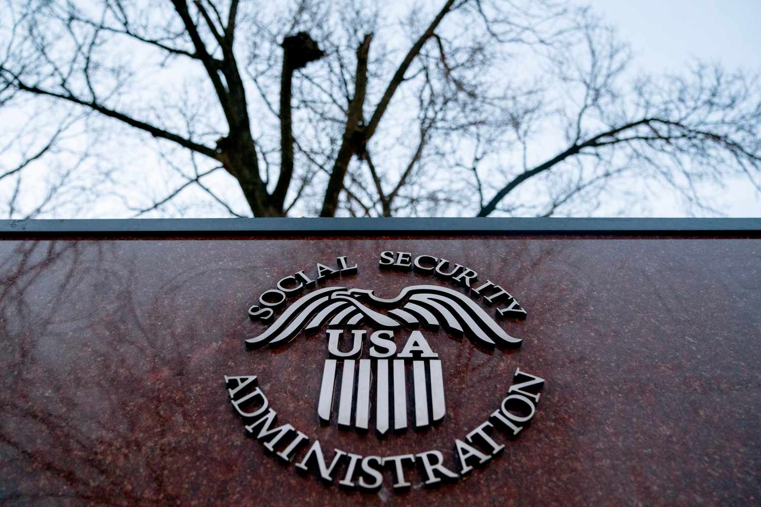 2025 Social Security Update: Elon Musk’s DOGE Role and Interim Commissioner Lee Dudek’s Statement