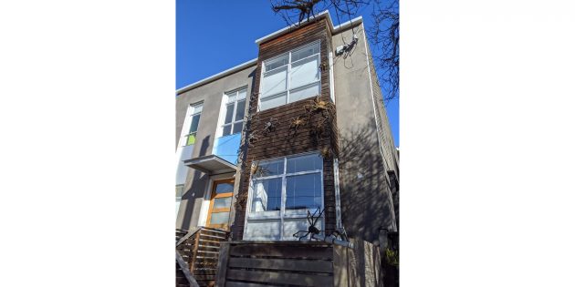 Пауки на доме