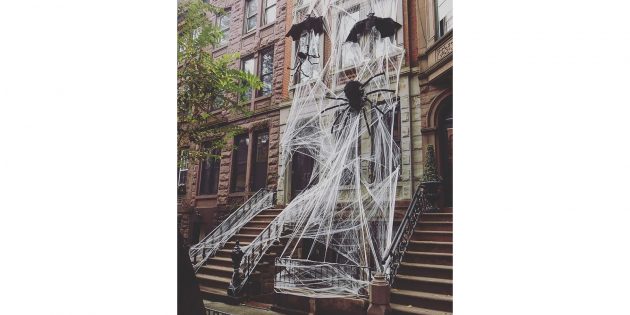 Паутина на доме