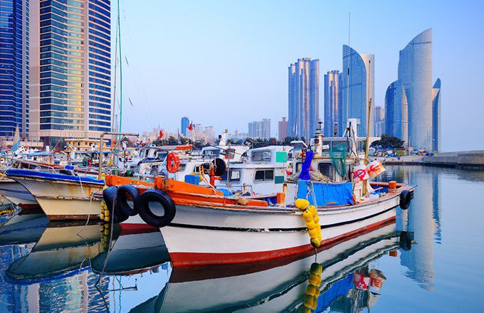 Top South Korea ETFs in 2025: EWY and FLKR Price & Performance Insights