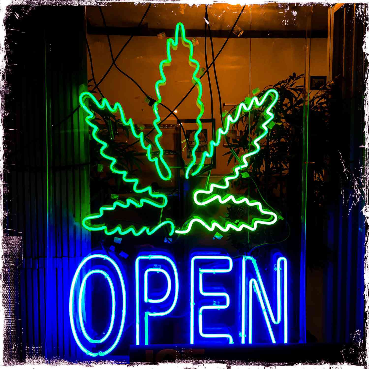 New York Issues First 37 Cannabis Dispensary Licenses in 2025, Prioritizing Social Equity