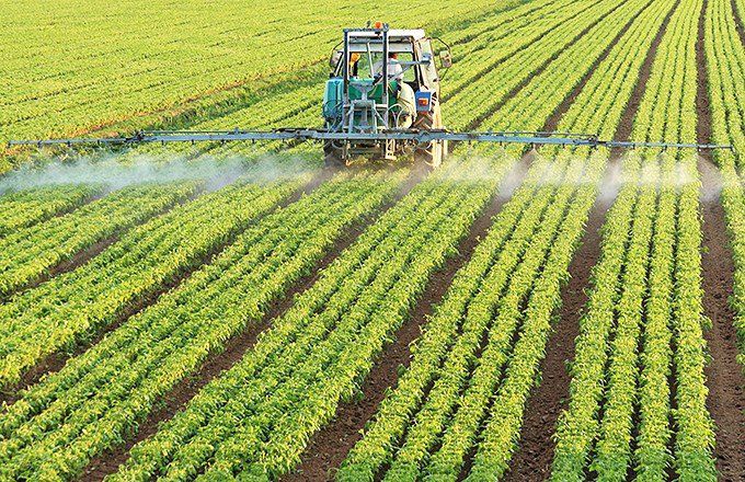 Top Agricultural Commodity ETFs of 2025: Prices and Performance Insights